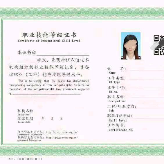 职业技能等级证书考试时间与培训全解析
